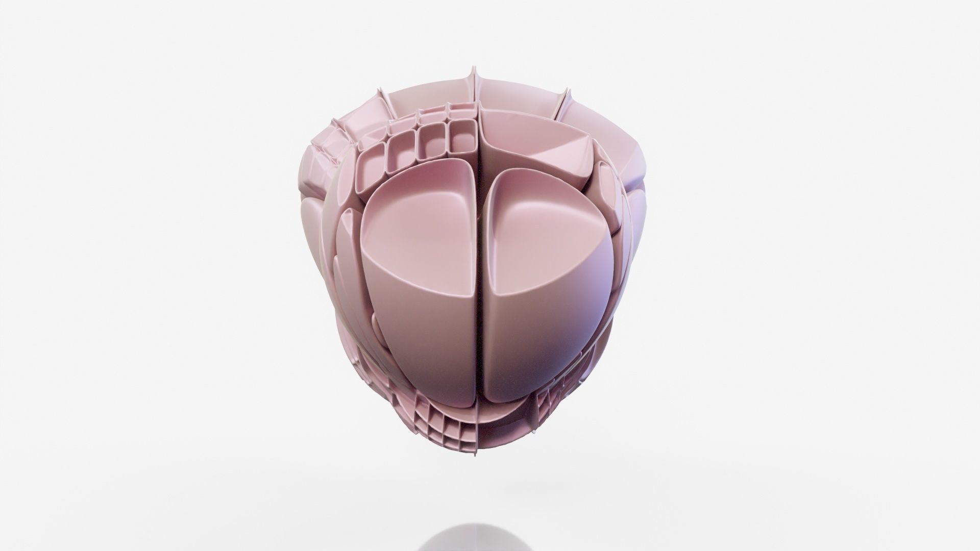 Bear Paw 3D model_14