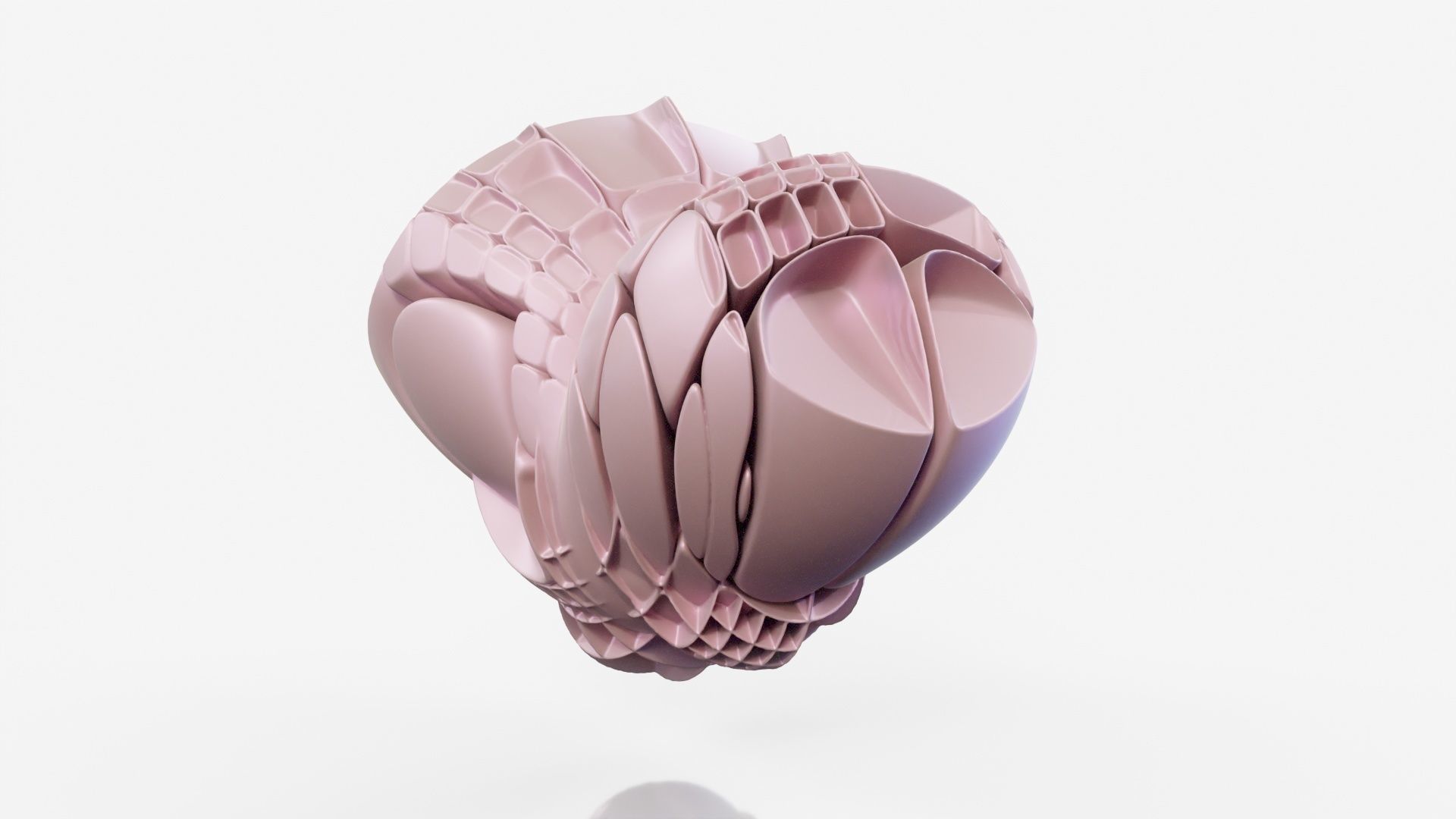 Bear Paw 3D model_15