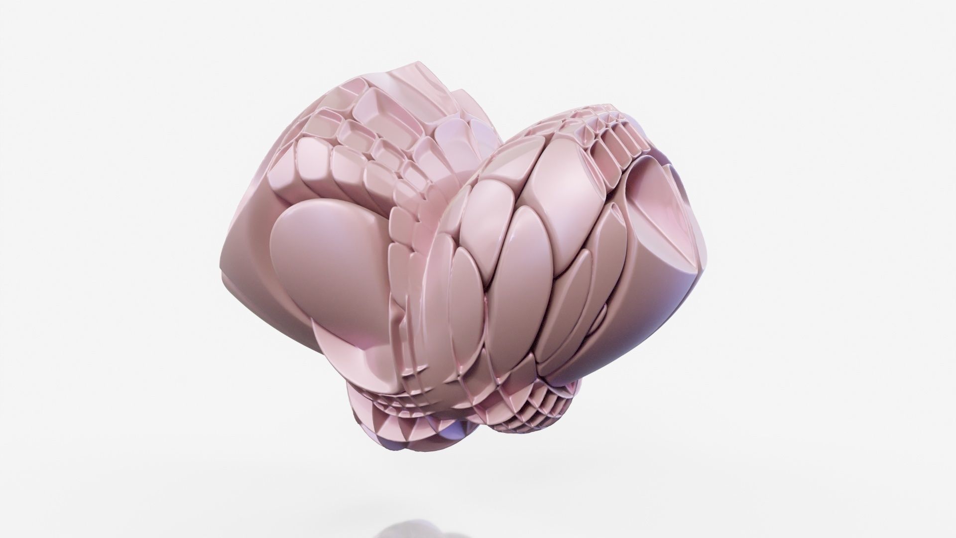 Bear Paw 3D model_16