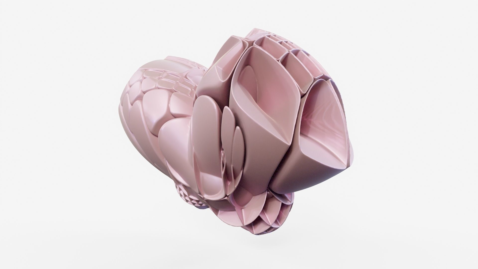 Bear Paw 3D model_10