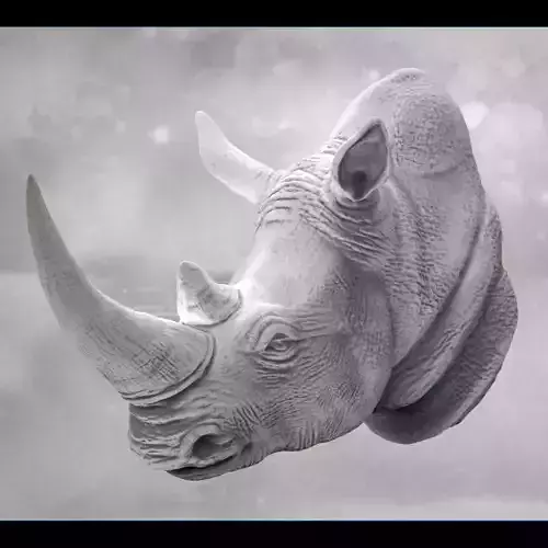 Rhino Bust