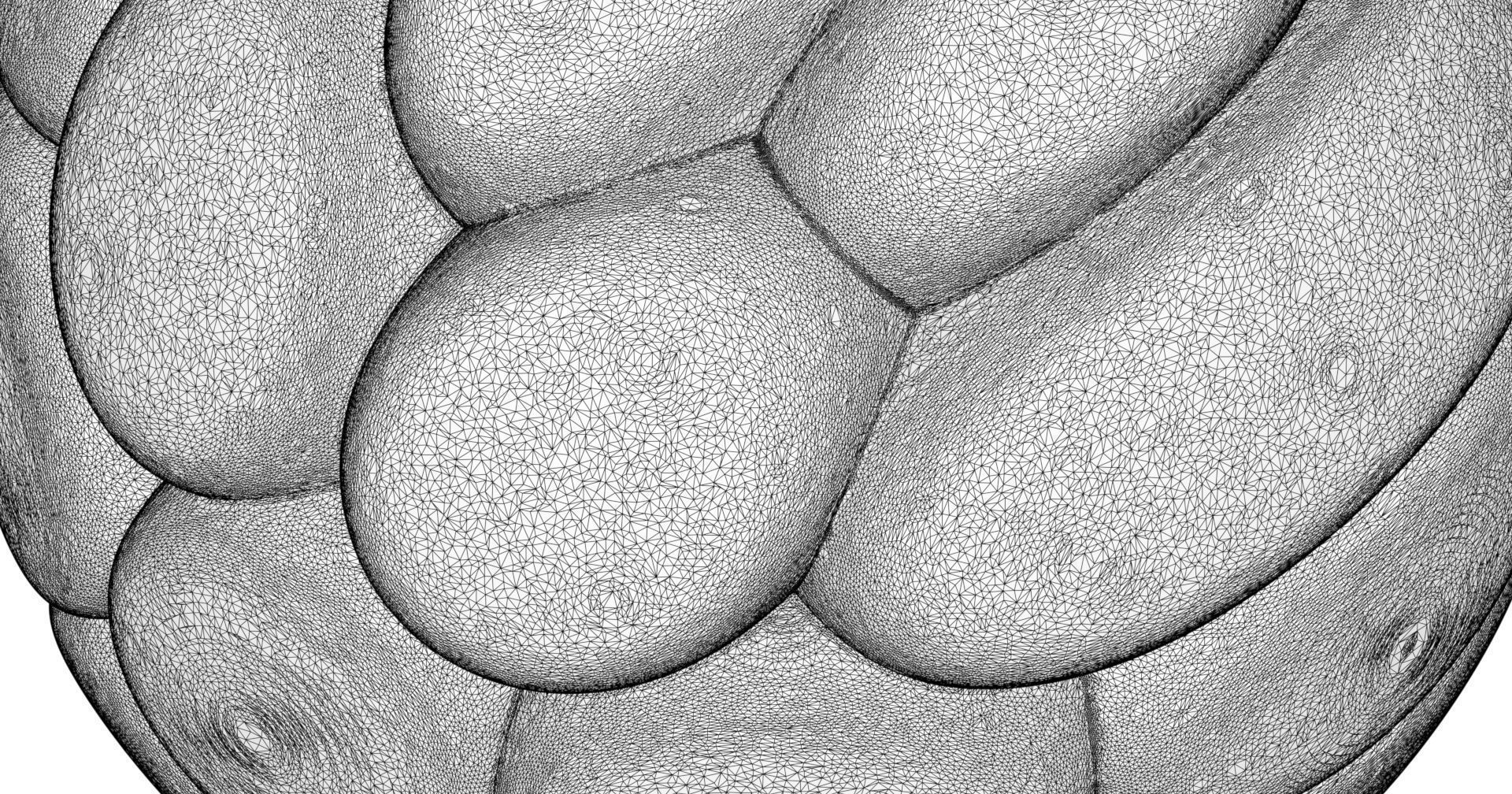 Flower ball 3D model_6