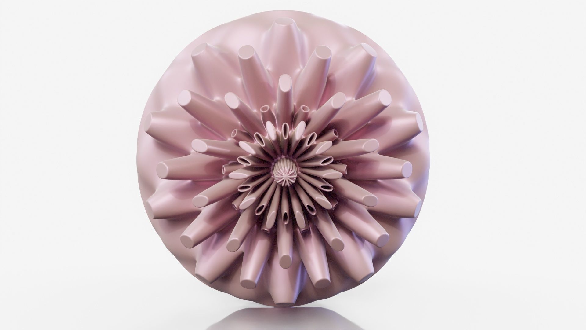 Coral dahlia flower 3D model_8