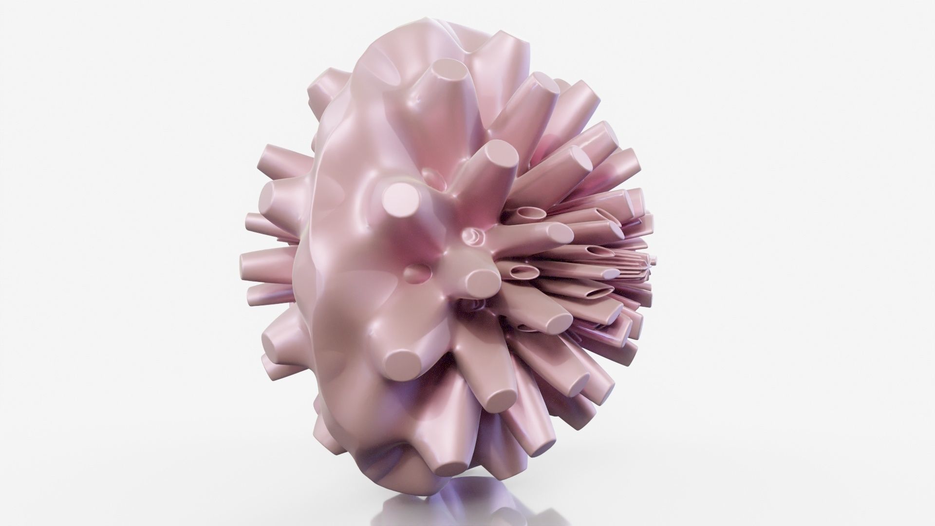 Coral dahlia flower 3D model_16