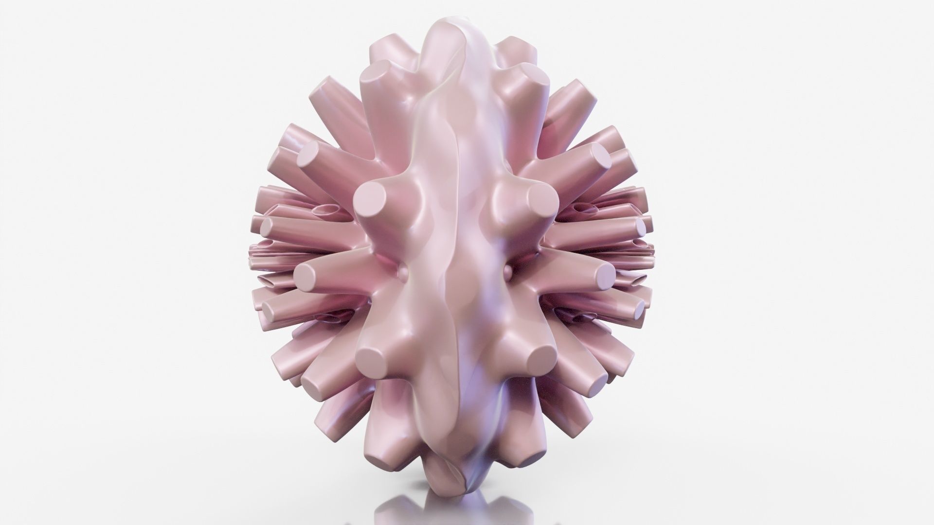 Coral dahlia flower 3D model_11