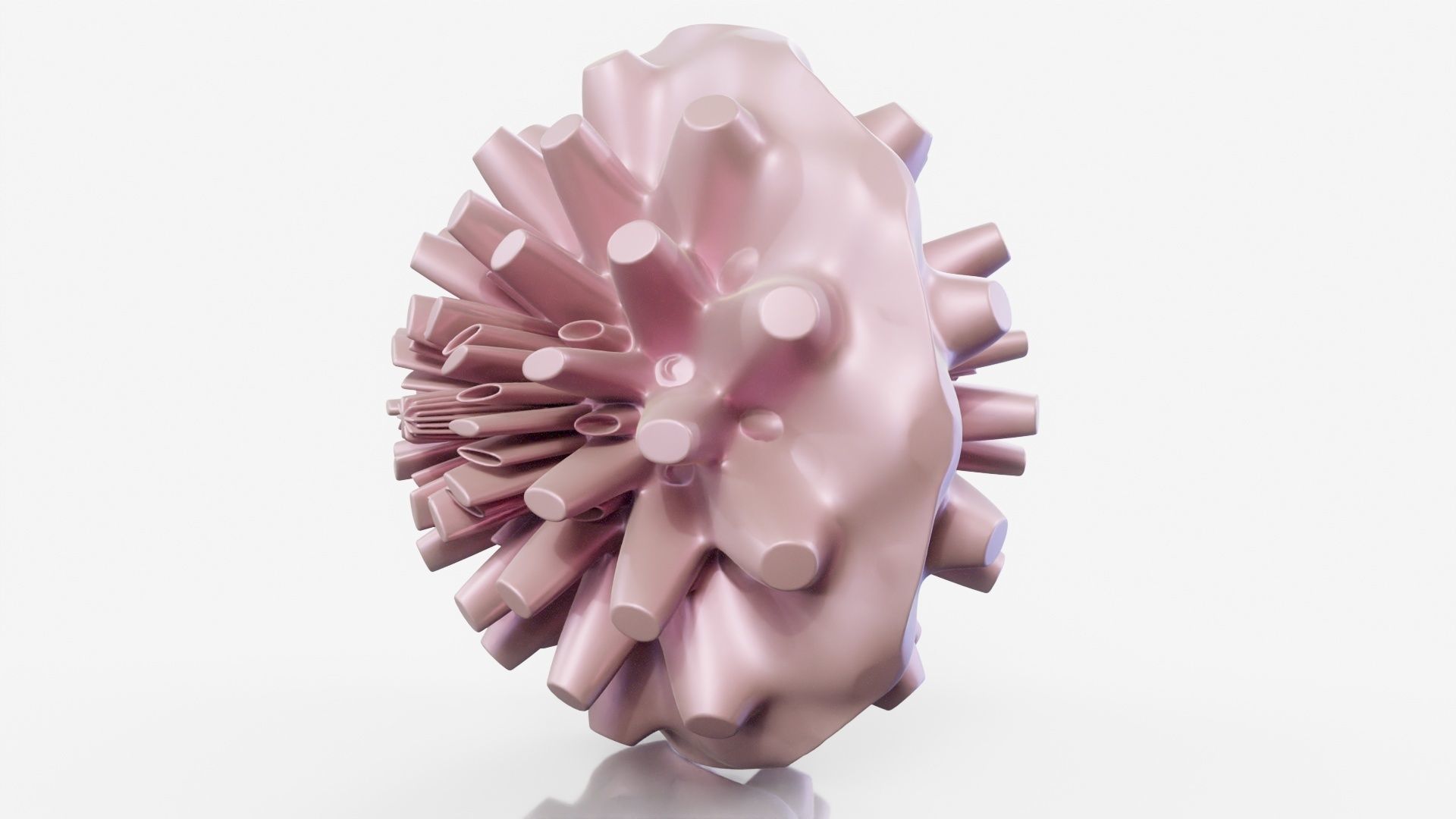 Coral dahlia flower 3D model_18