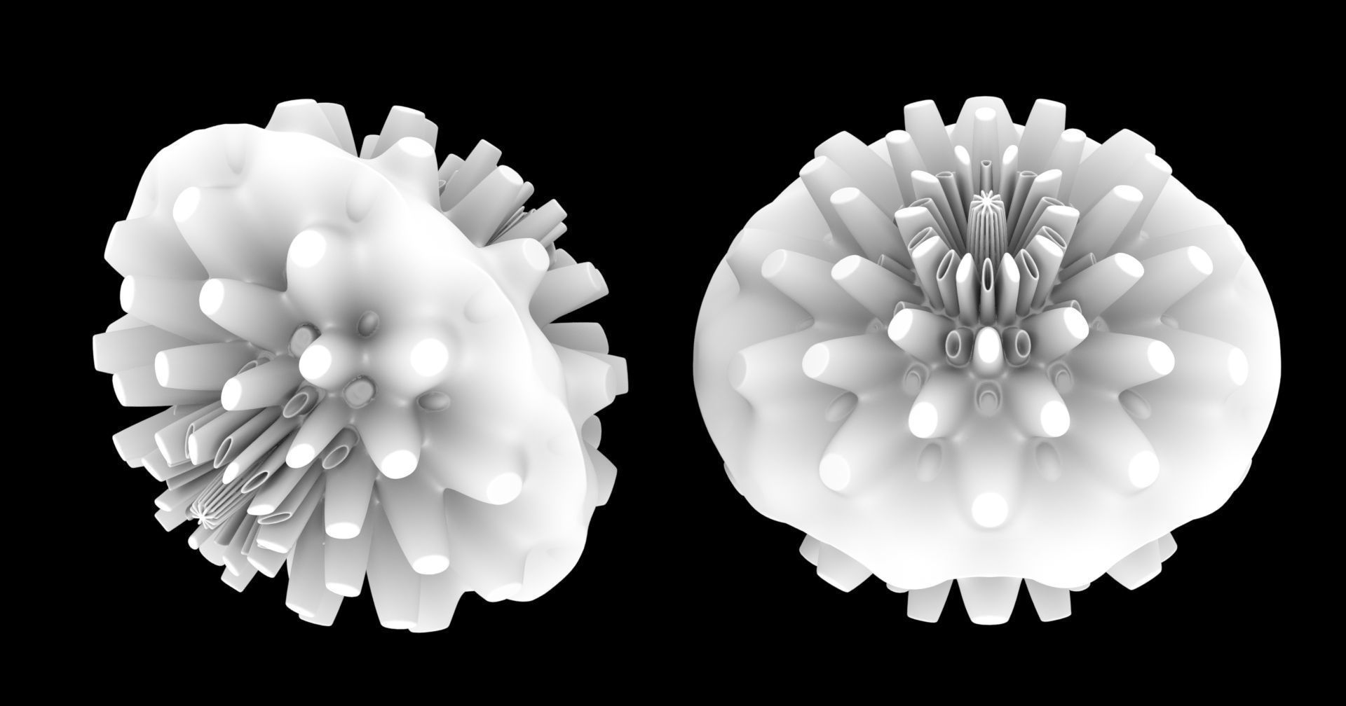 Coral dahlia flower 3D model_1