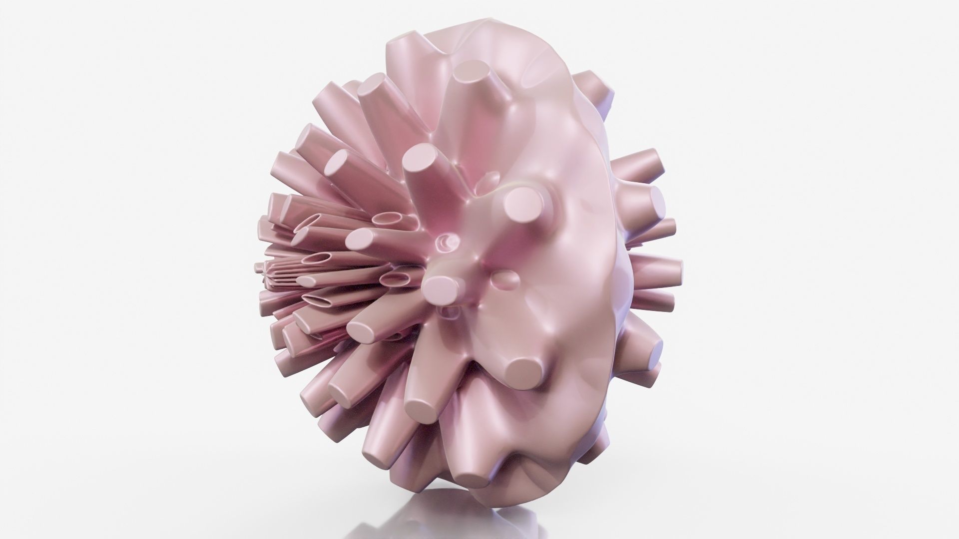 Coral dahlia flower 3D model_12