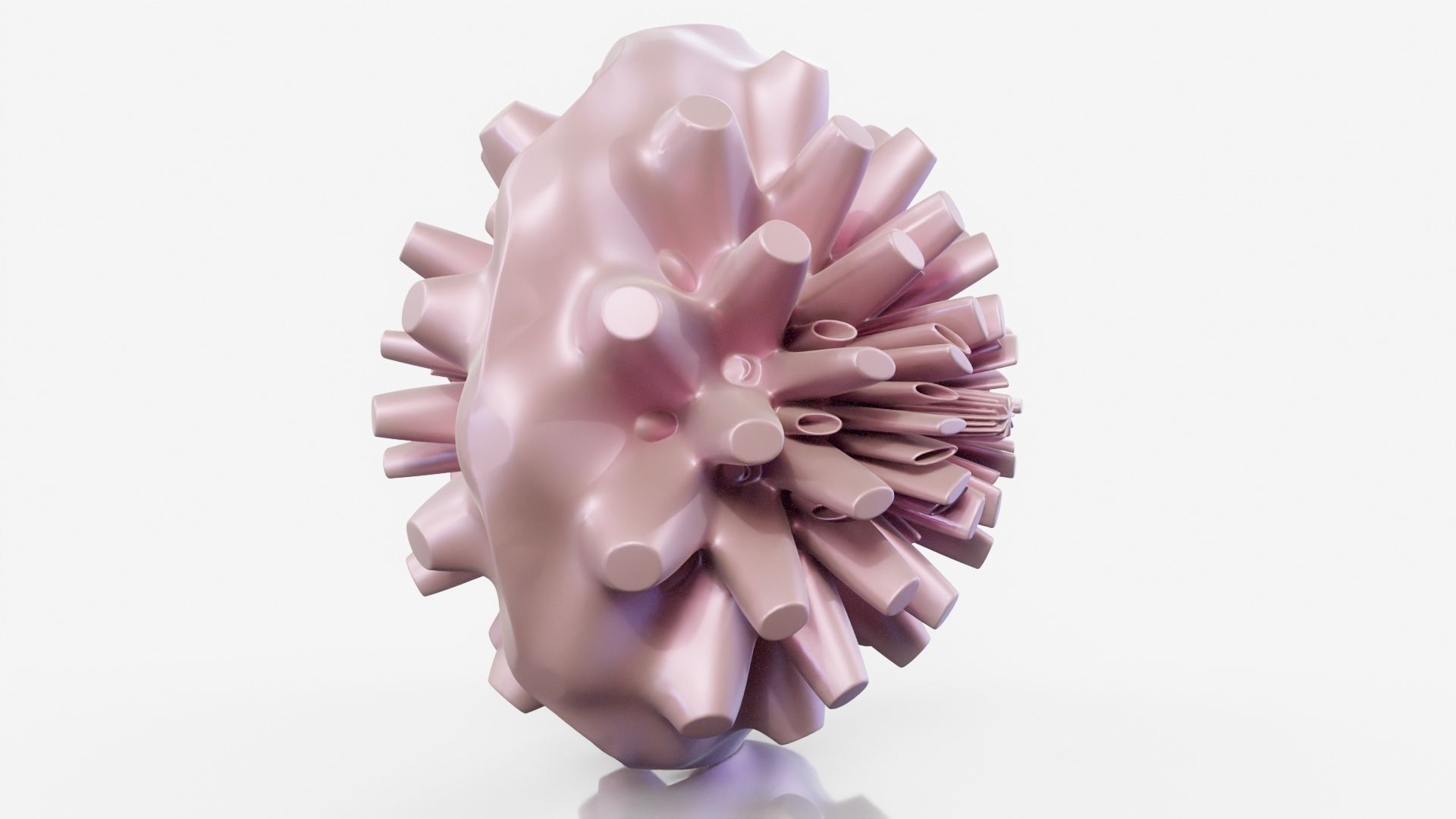 Coral dahlia flower 3D model_10