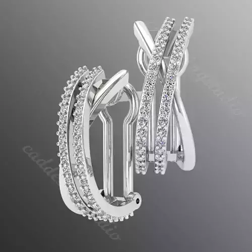 Earrings bi26 3D print model
