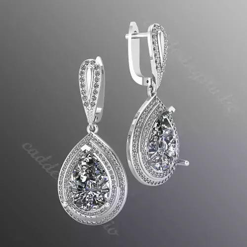 Earrings bi 25