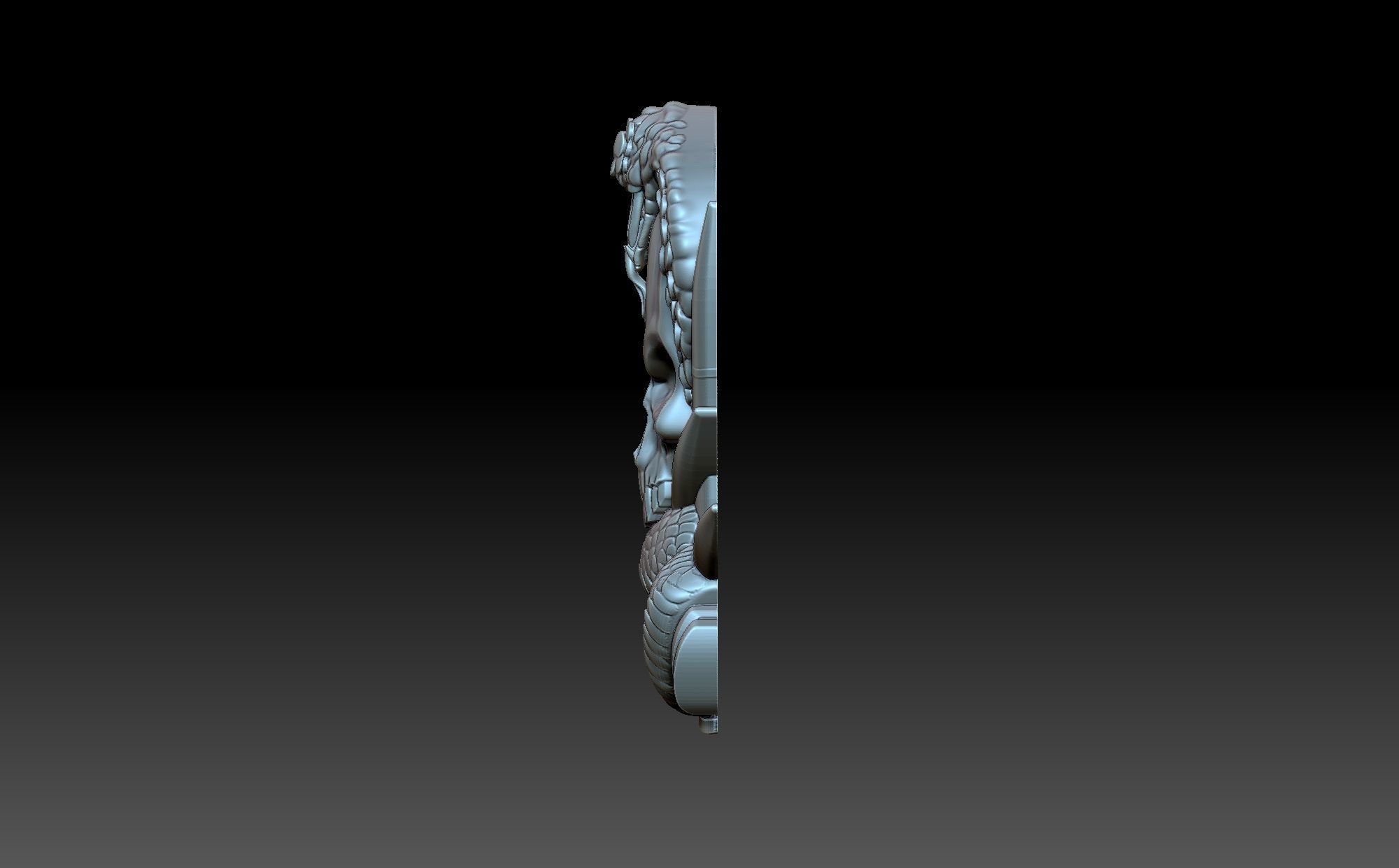 Skull and snake 3D print model_2