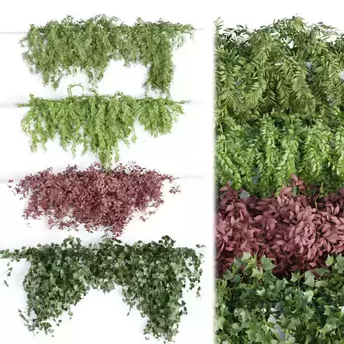 Hanging wall plants collection vol 72 3D model