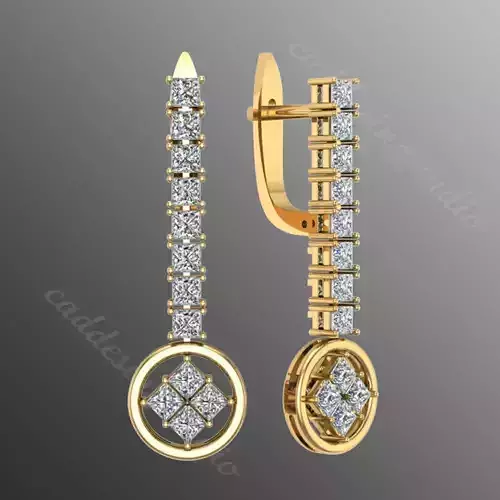 Earrings bi 19