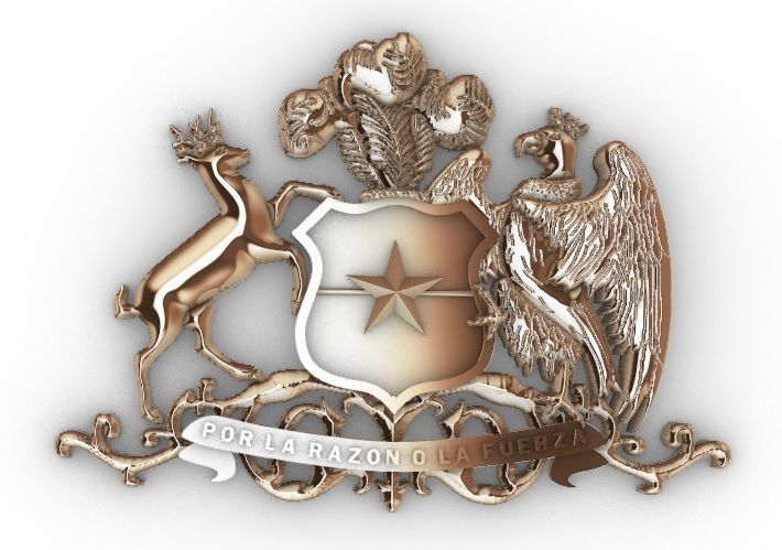 Escudo de Chile Coat of arms Chile Country 3d 3D print model_4