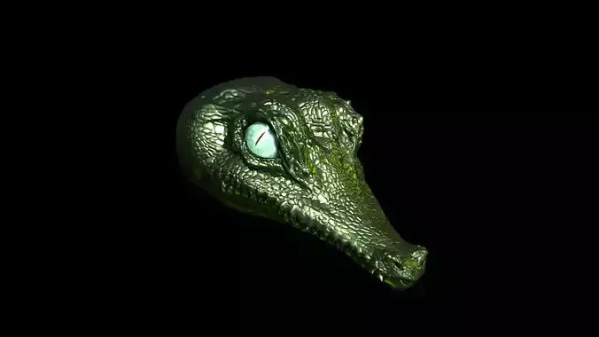 aligator head