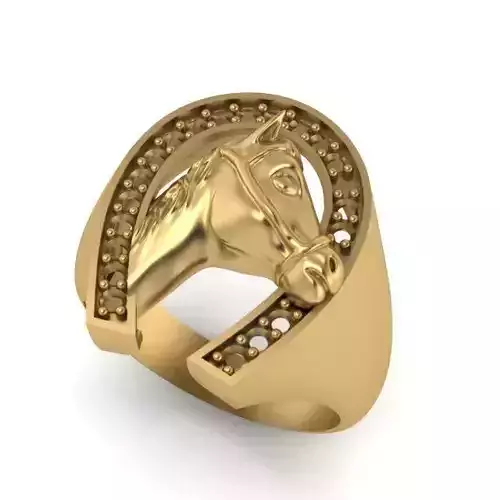 horse ring