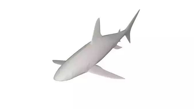 Shark wild animals 3D model