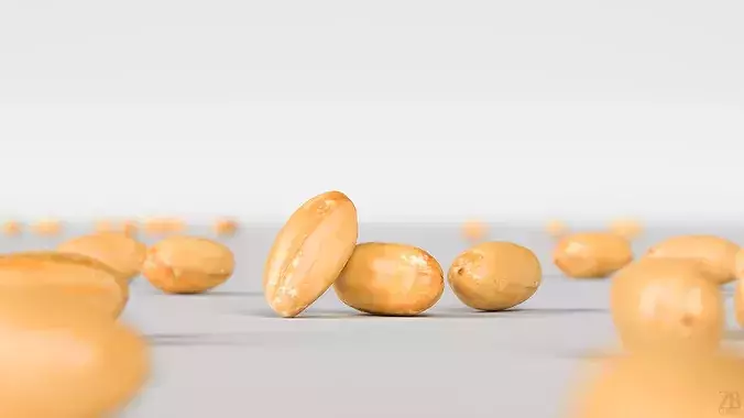 Peanut 3D model 2