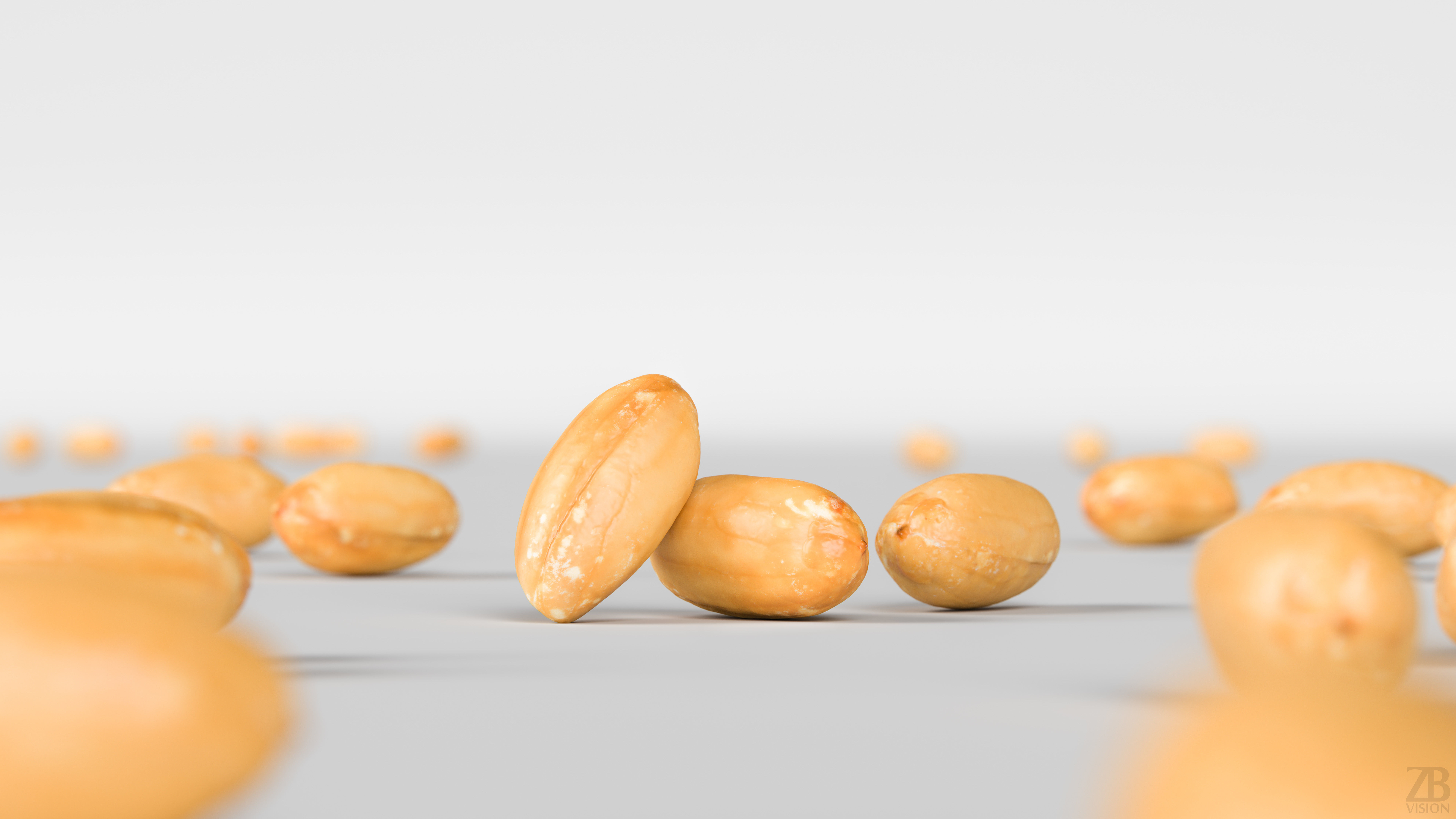 Peanut 3D model_1