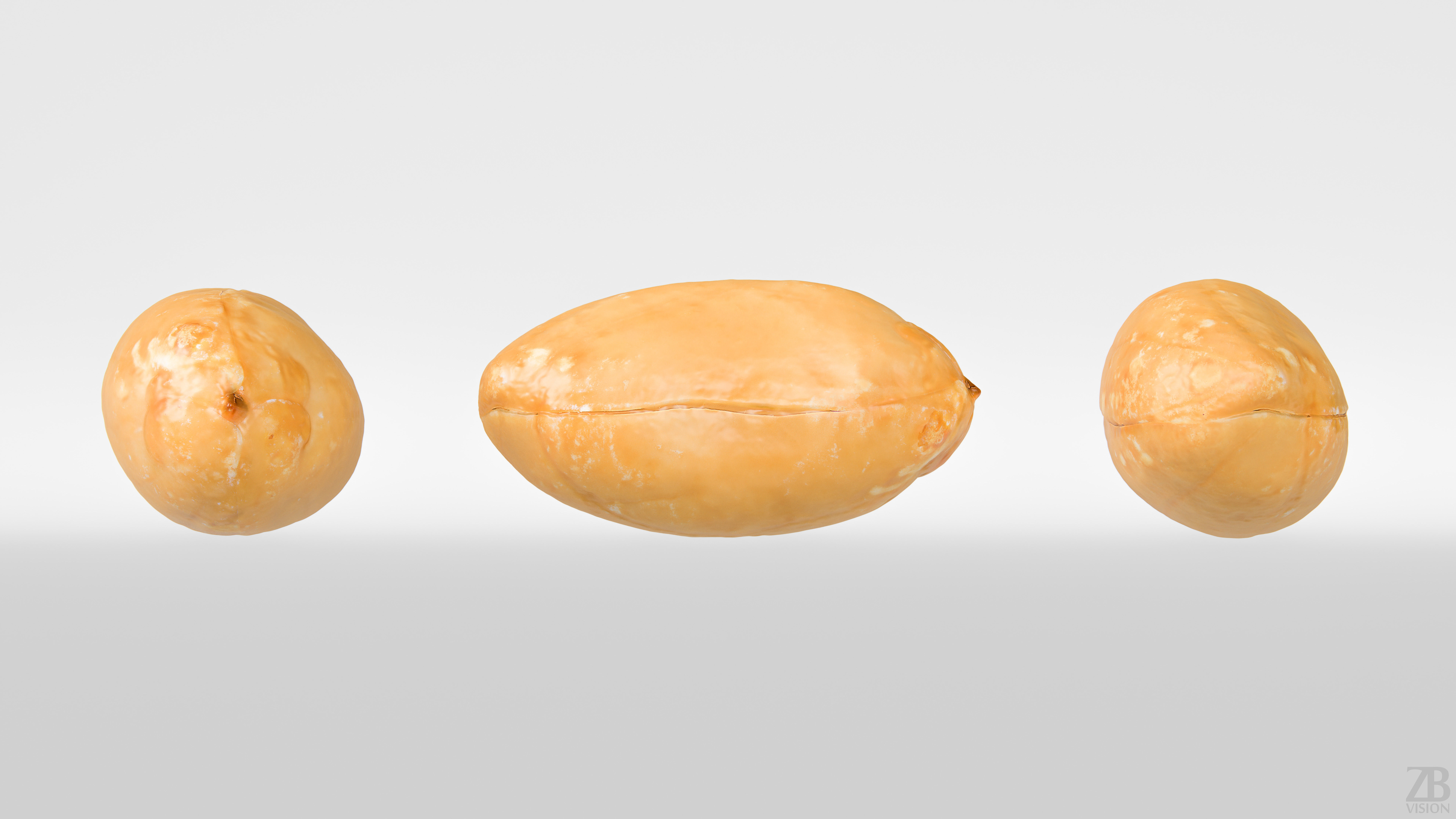 Peanut 3D model_4