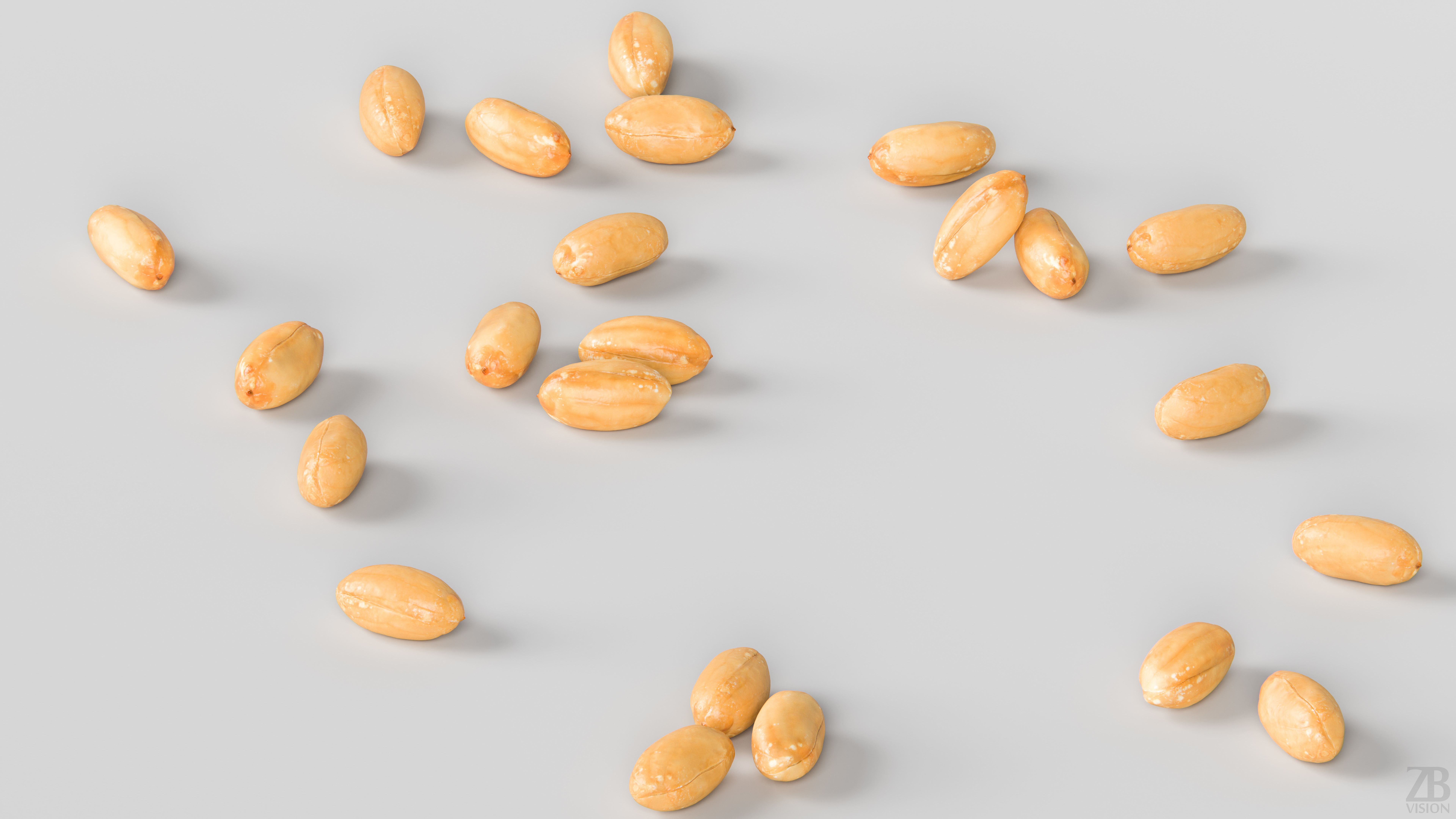 Peanut 3D model_2