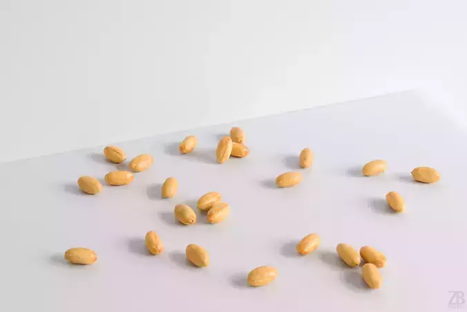 Peanut 3D model