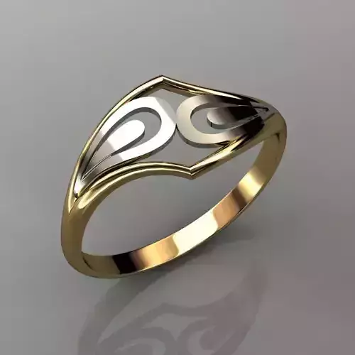 ringg gold and silver ring