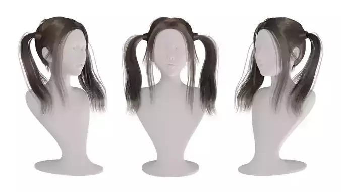 Realistic Woman double ponytail Hair Style