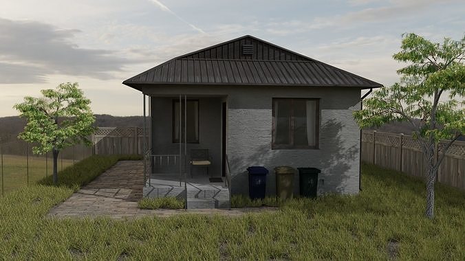 Village House 3D model