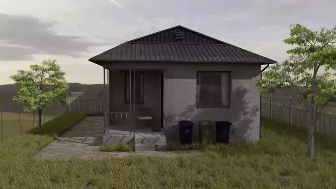 Village House 3D model