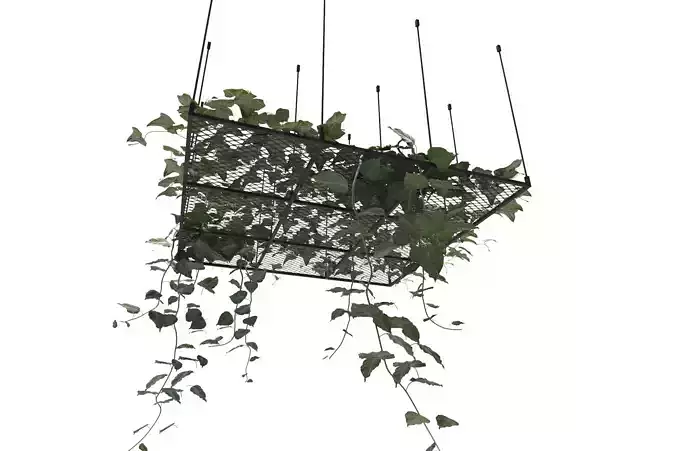 Ceiling Mesh Plants