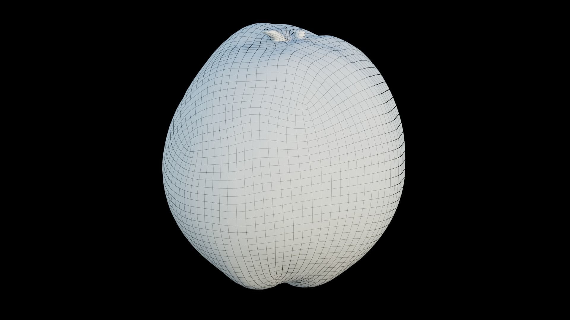 Coconut 3D model_15