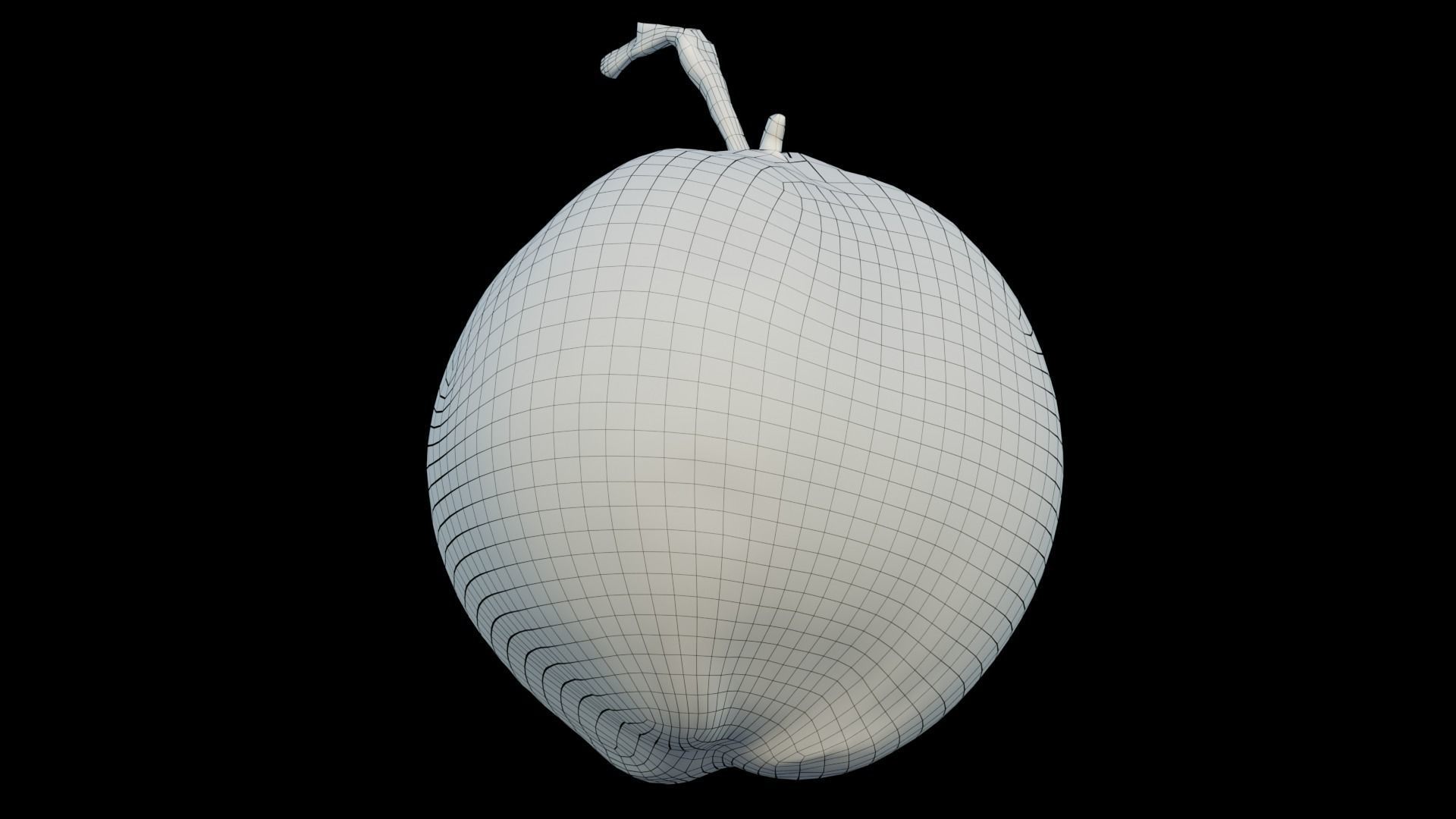 Coconut 3D model_9