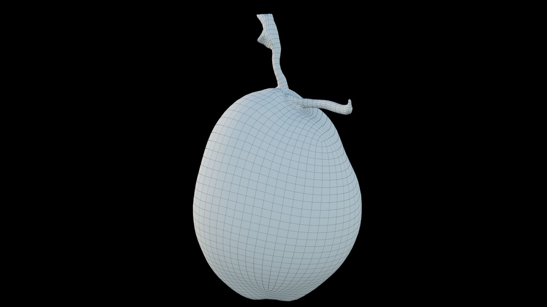 Coconut 3D model_13