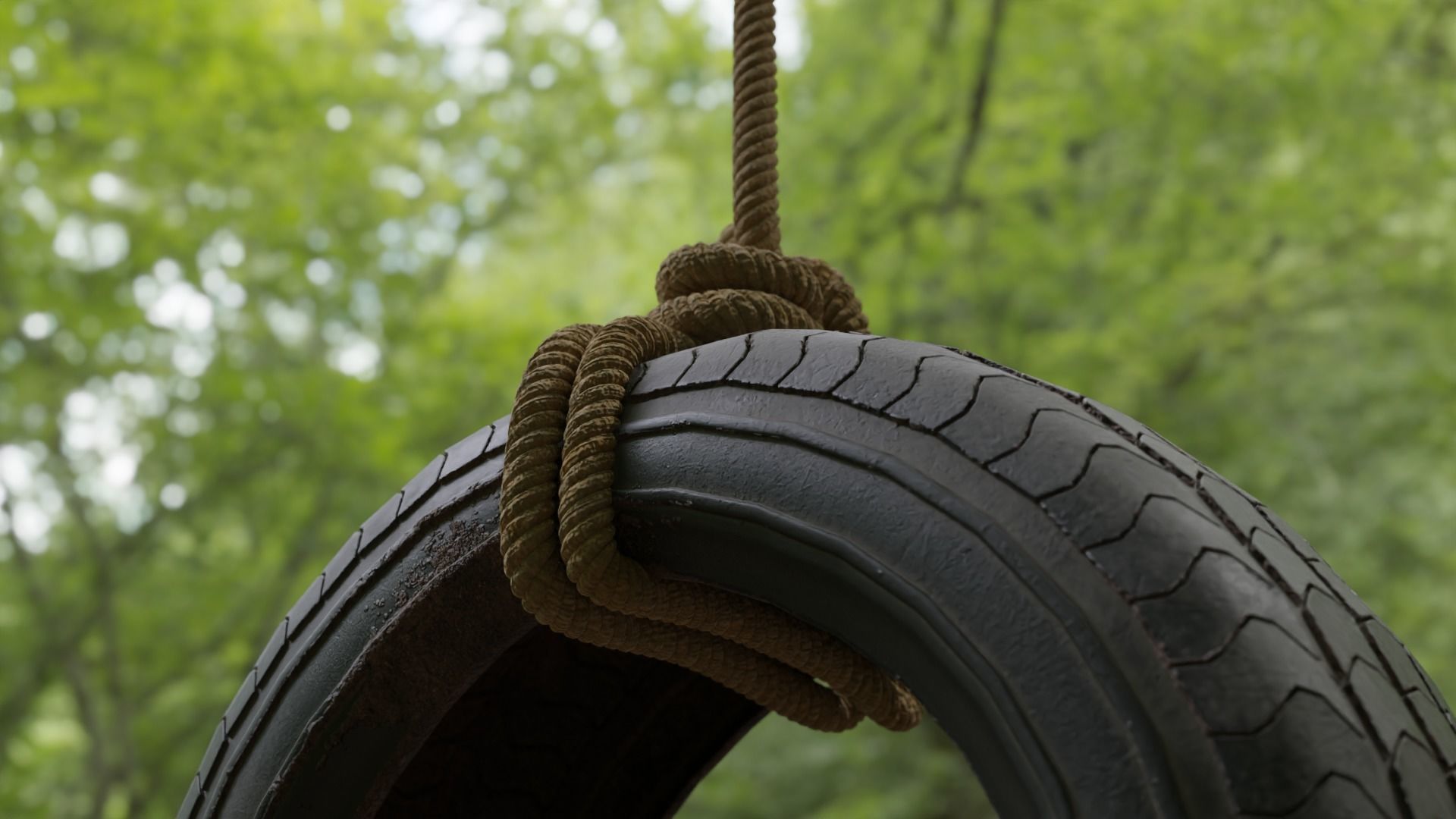 Old tree hanging car tire swing Low-poly 3D model_4