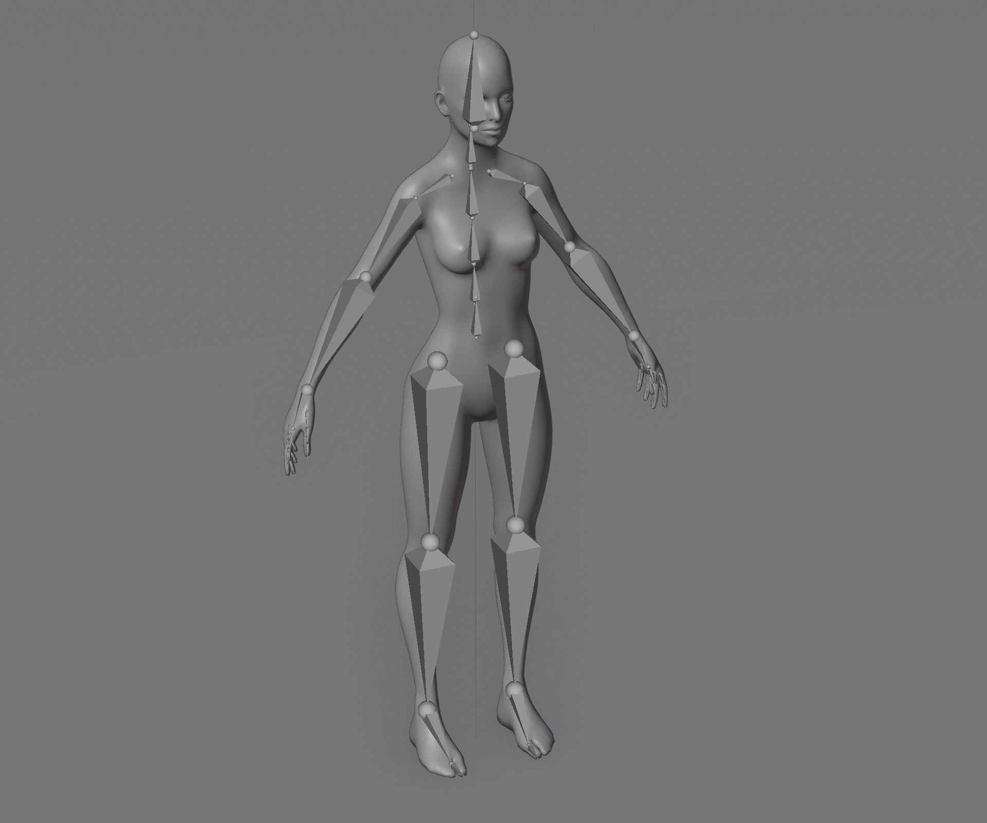 Human Body Base Mesh Animated Rigged 3D Model 20k Poly Low-poly 3D model_7