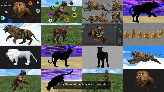 Lions Packs with Animations 3D Model Collection
