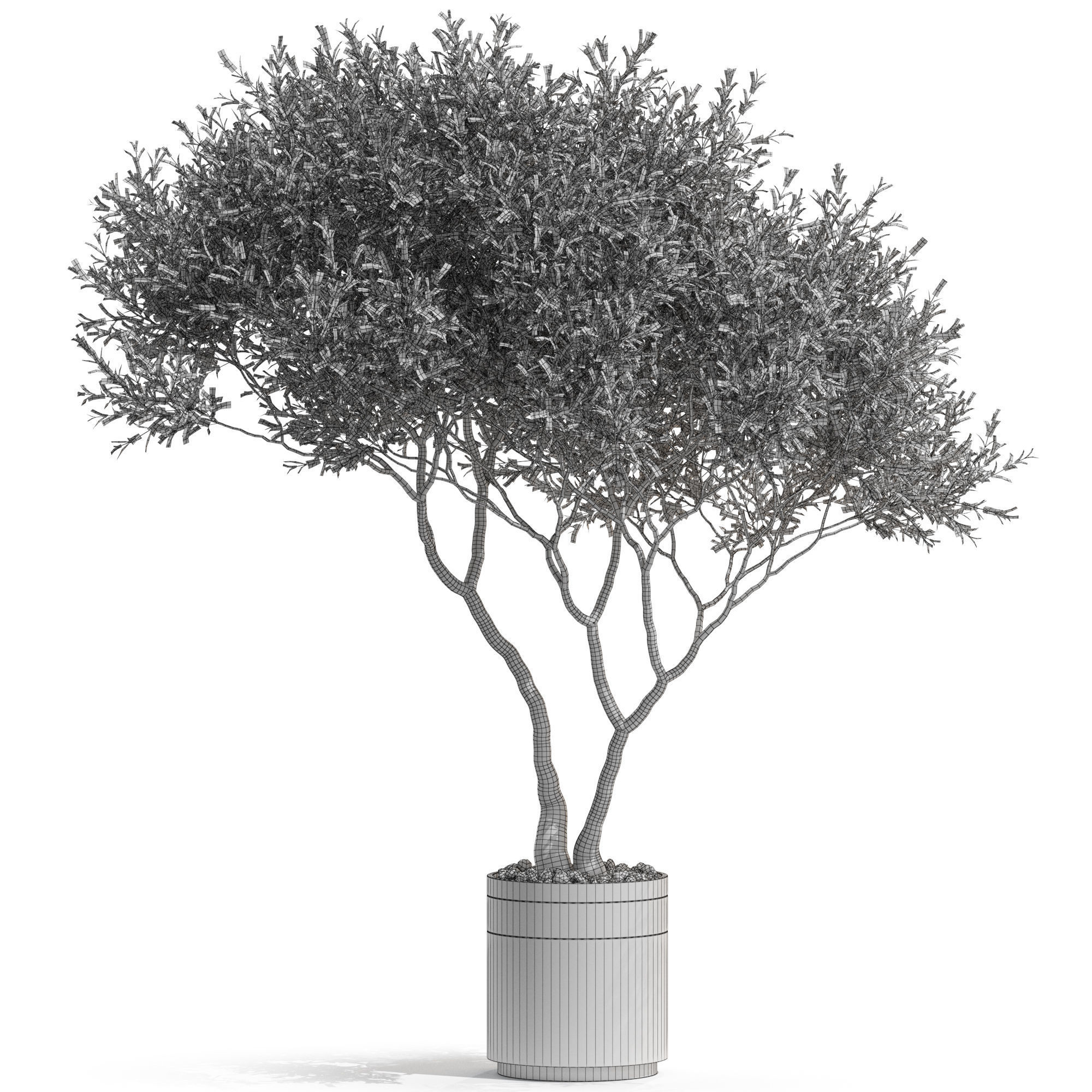 Plants collection 725 3D model_3