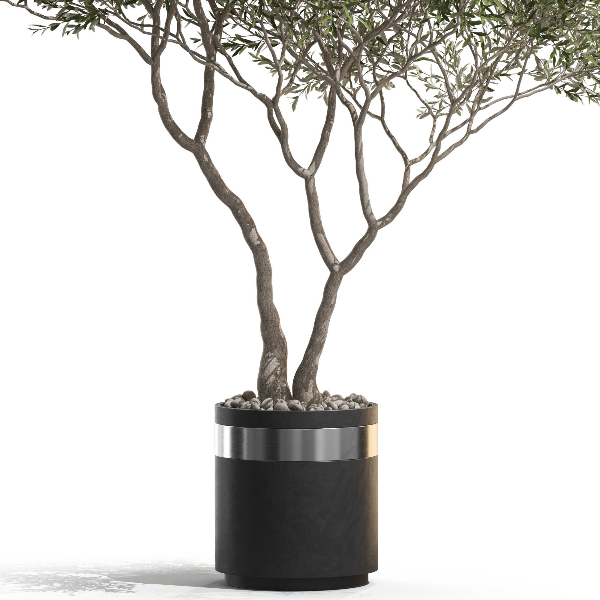 Plants collection 725 3D model_1