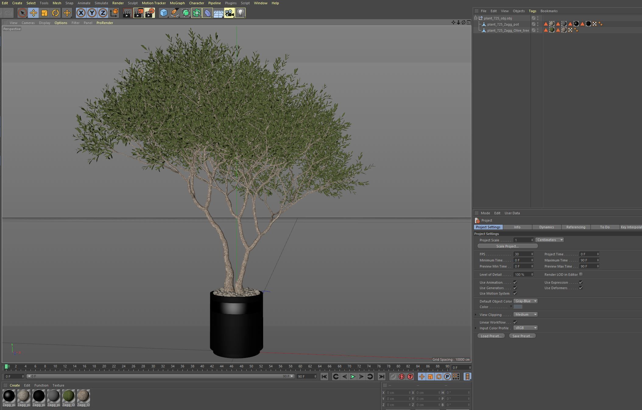 Plants collection 725 3D model_6