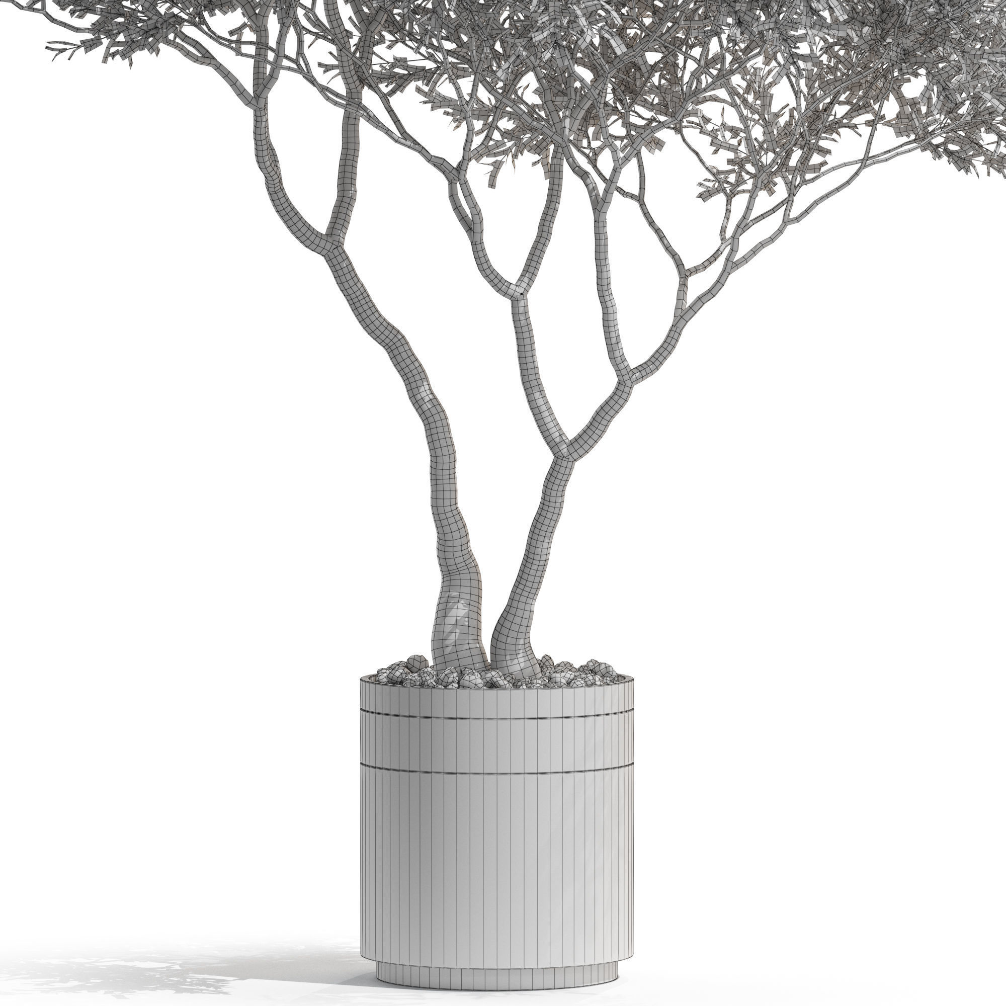 Plants collection 725 3D model_4