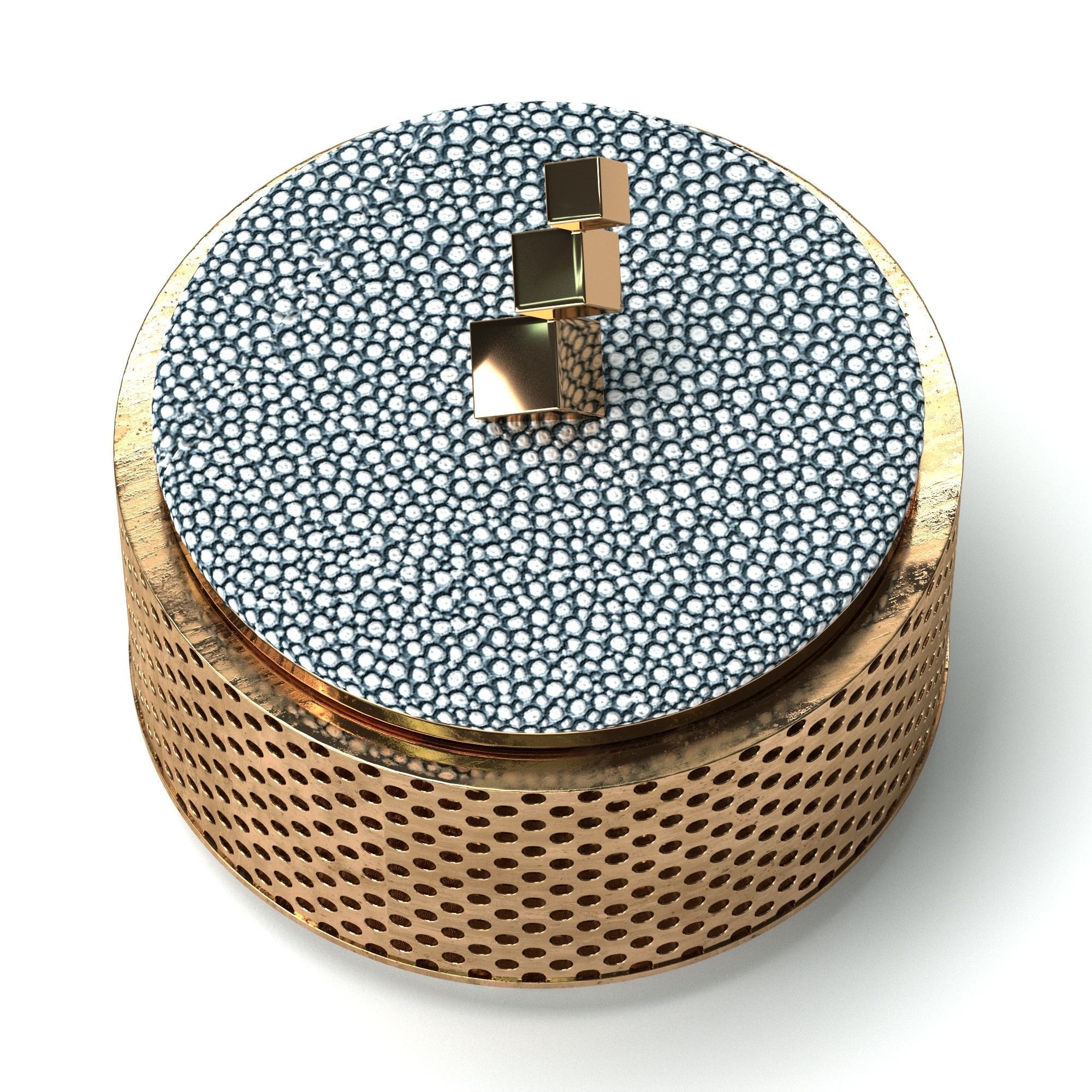 Liang and Eimil Shagreen Brass Jewelry Box 3D model_6