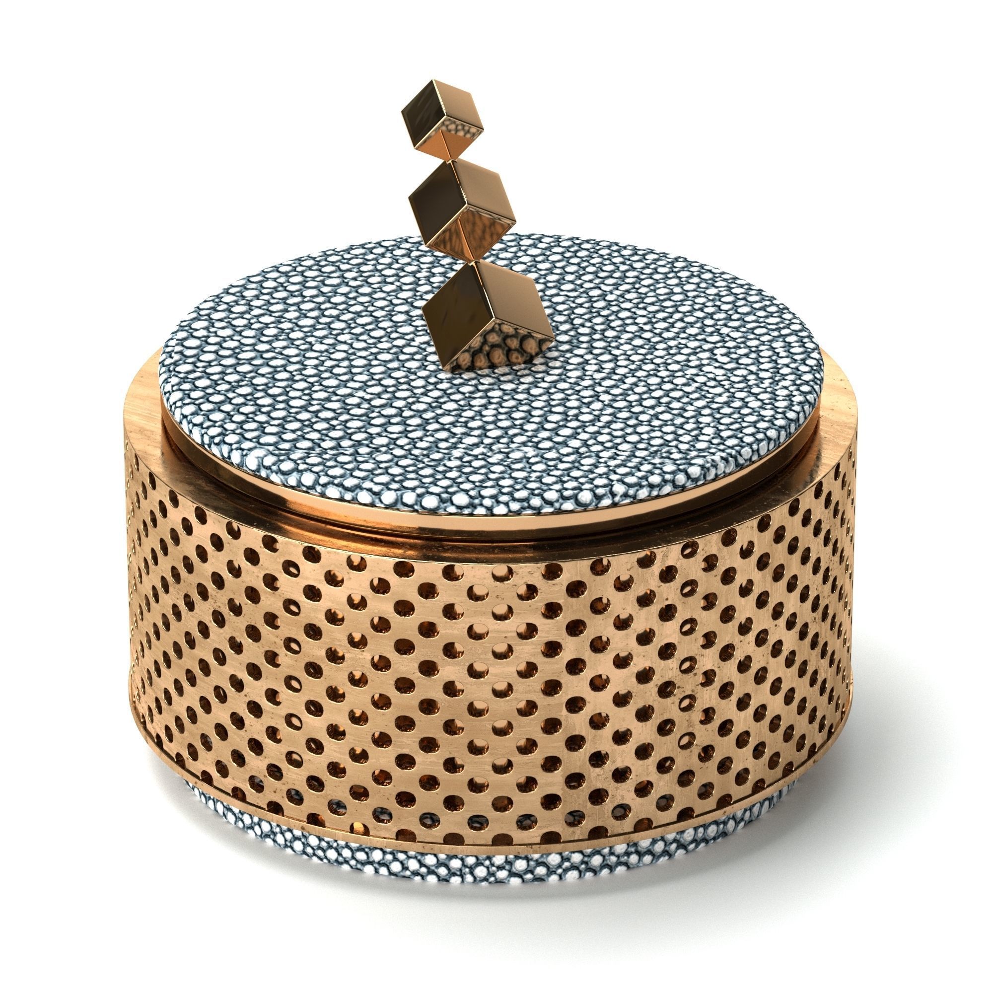 Liang and Eimil Shagreen Brass Jewelry Box 3D model_1