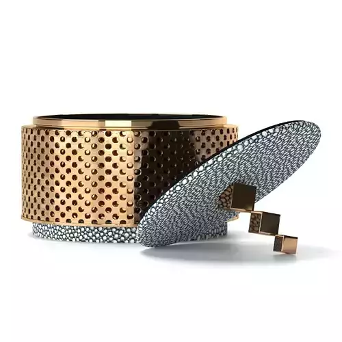 Liang and Eimil Shagreen Brass Jewelry Box