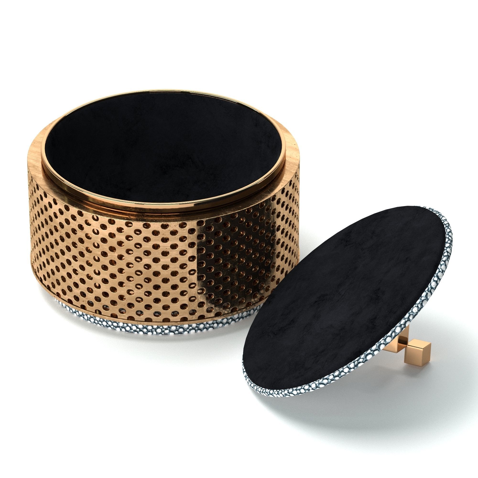 Liang and Eimil Shagreen Brass Jewelry Box 3D model_4