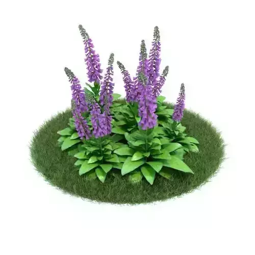 Green Purple Flower Shrub