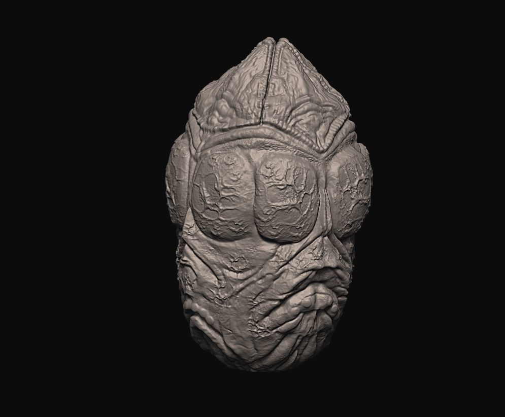 Alien- Xenomorph - Avpegg - Egg - 1 to 6 3D print model_3