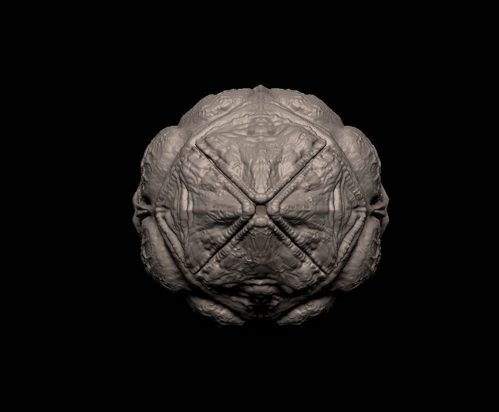 Alien- Xenomorph - Avpegg - Egg - 1 to 6 3D print model_1