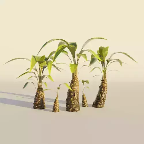 Palm tree set vol3 Cartoon Stylized Hand painted Low-poly 3D model